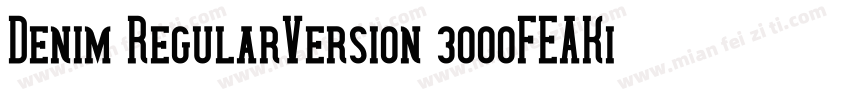 Denim RegularVersion 3000FEAKit 1字体转换